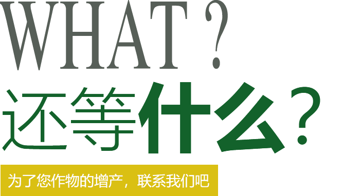 還在等什么？快來(lái)聯(lián)系我們吧